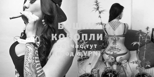винт Алзамай