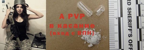 винт Алзамай