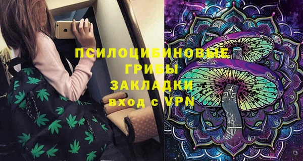 дмт Алексин