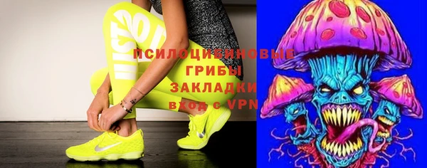 дмт Алексин