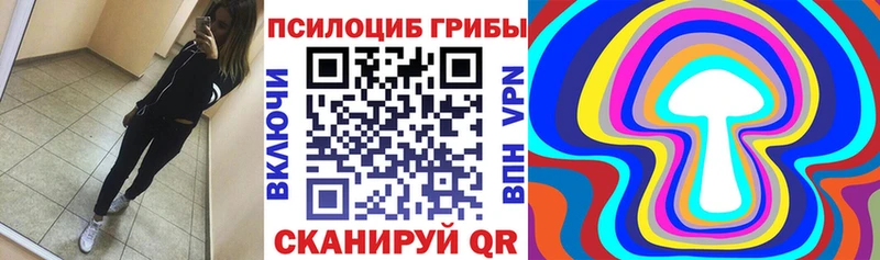 закладка  Динская  Галлюциногенные грибы мицелий 